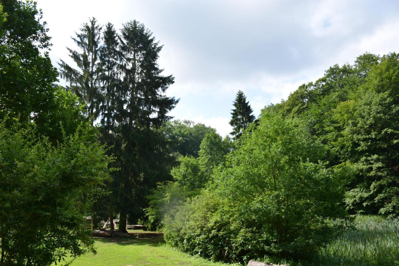 Bungalows Am Waldessaum Bei Hohenzieritz 外观 照片