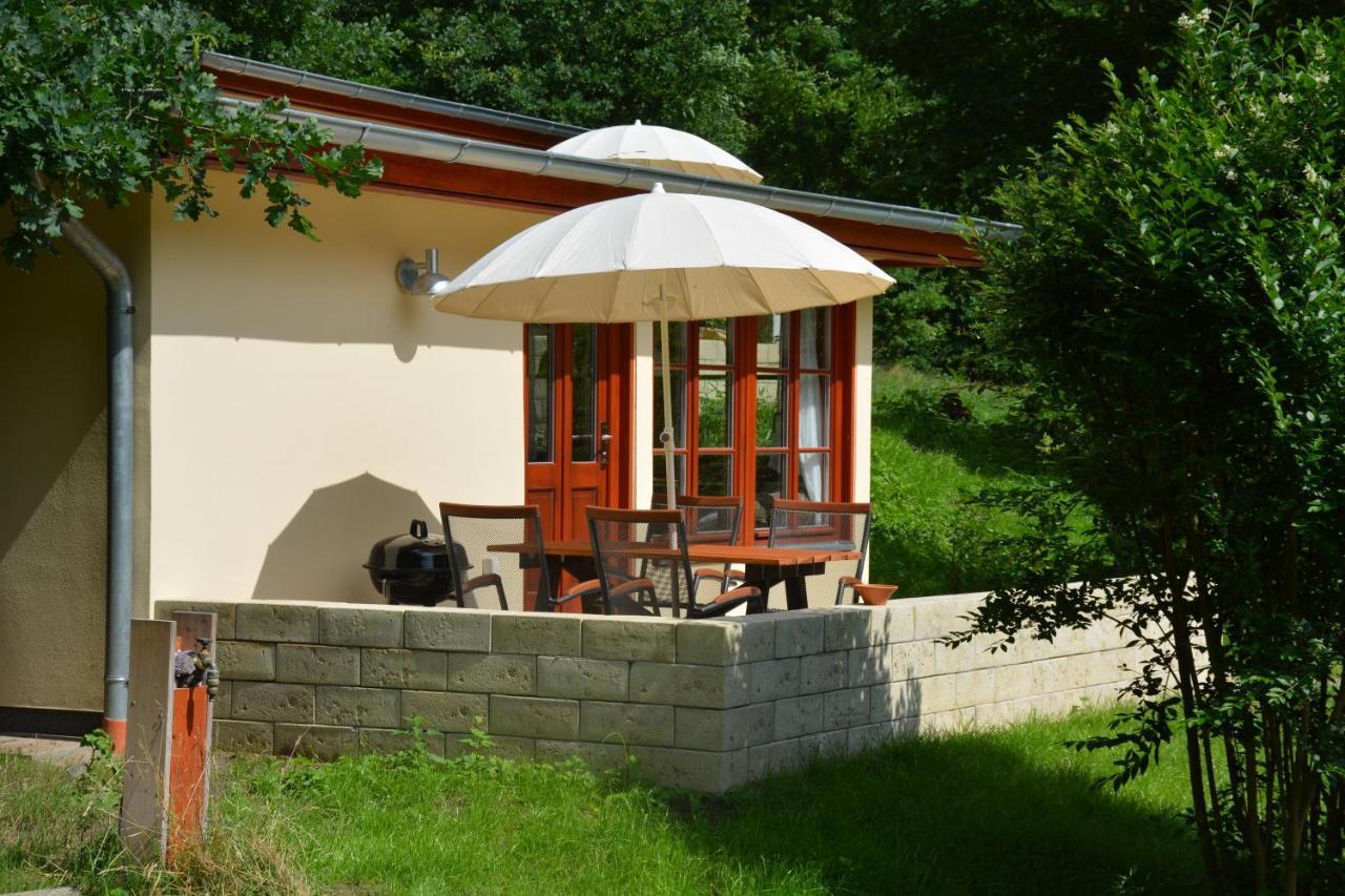 Bungalows Am Waldessaum Bei Hohenzieritz 外观 照片